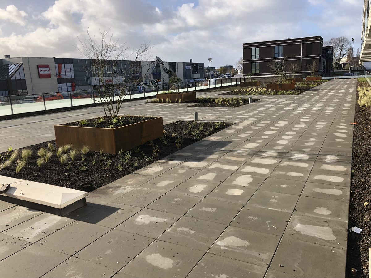 Daktuin Middenweg - looppad met plantvakken