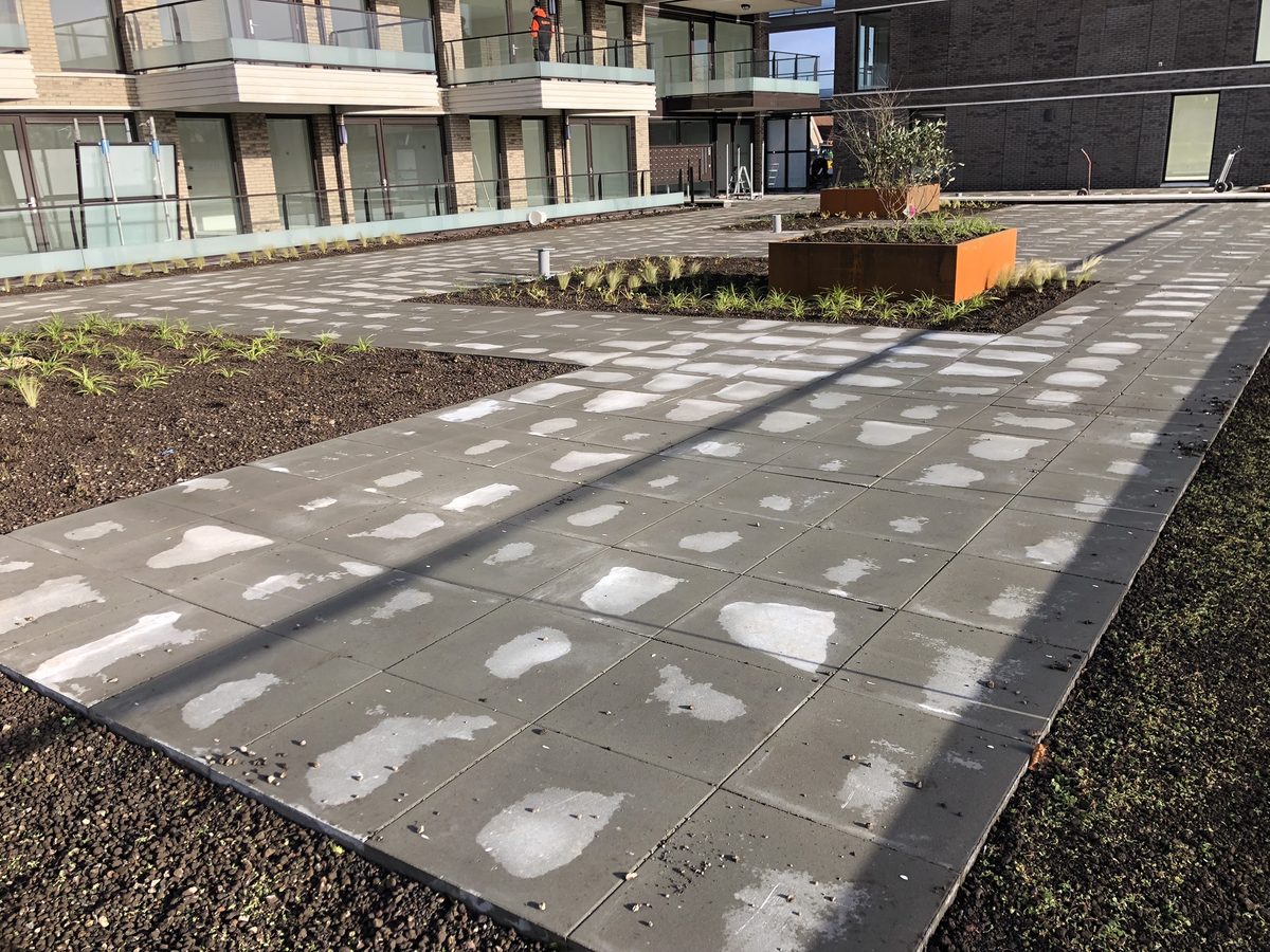 Daktuin Middenweg - tegelpad langs beplanting