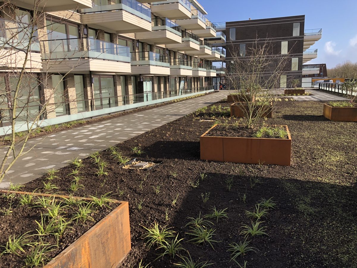 Daktuin Middenweg - looppad met cortenstalen bakken