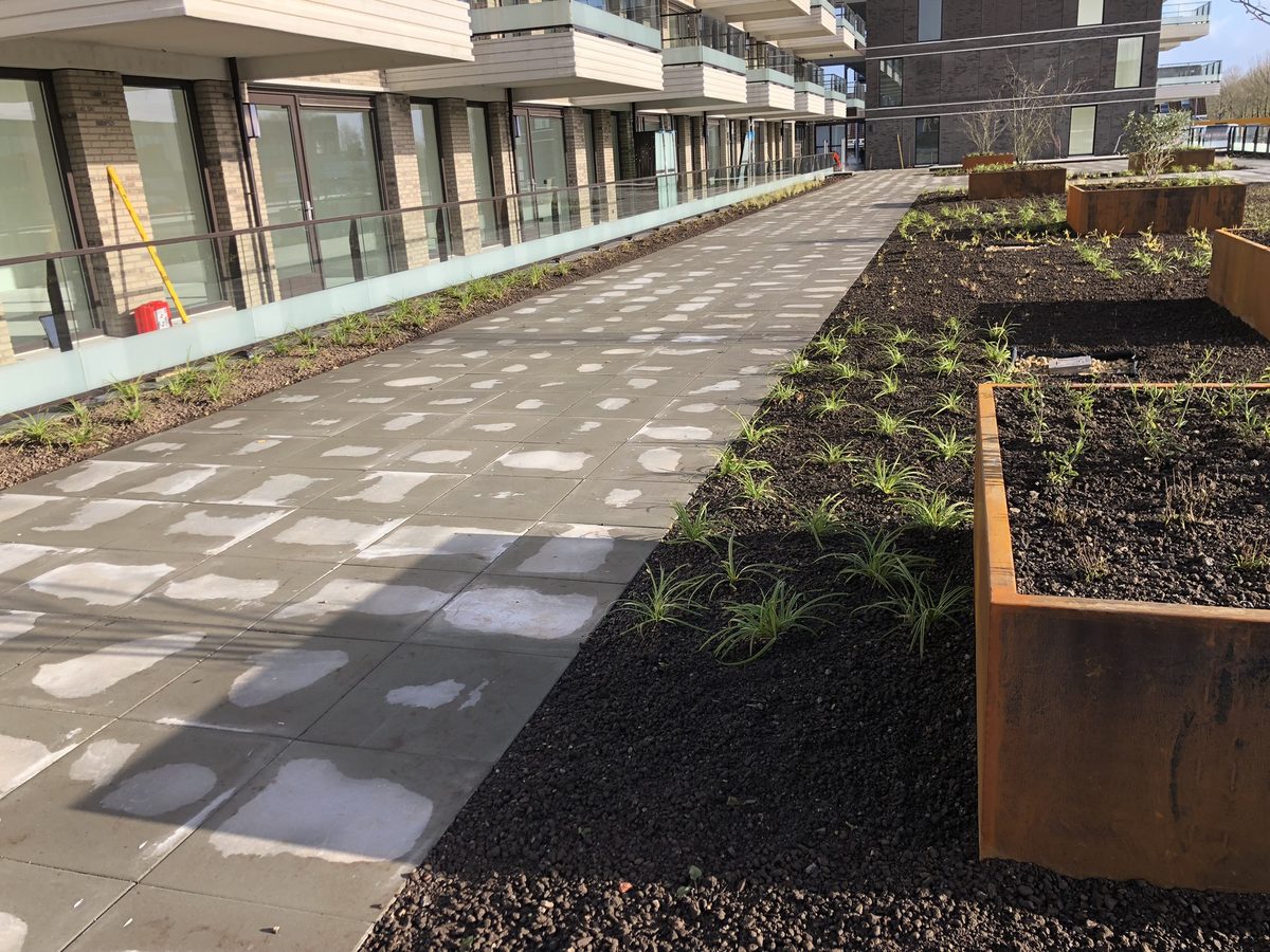Daktuin Middenweg - beplanting langs de gevel